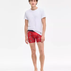 Men's 3-Pk. Holiday Boxer Briefs Gift Set