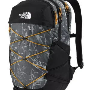 Men's Borealis Backpack
