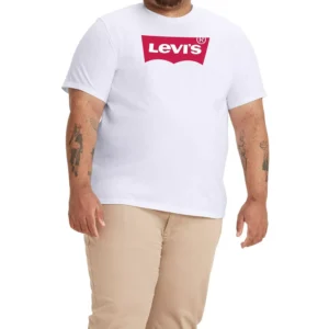 Men's Big and Tall Graphic Crewneck T-shirt