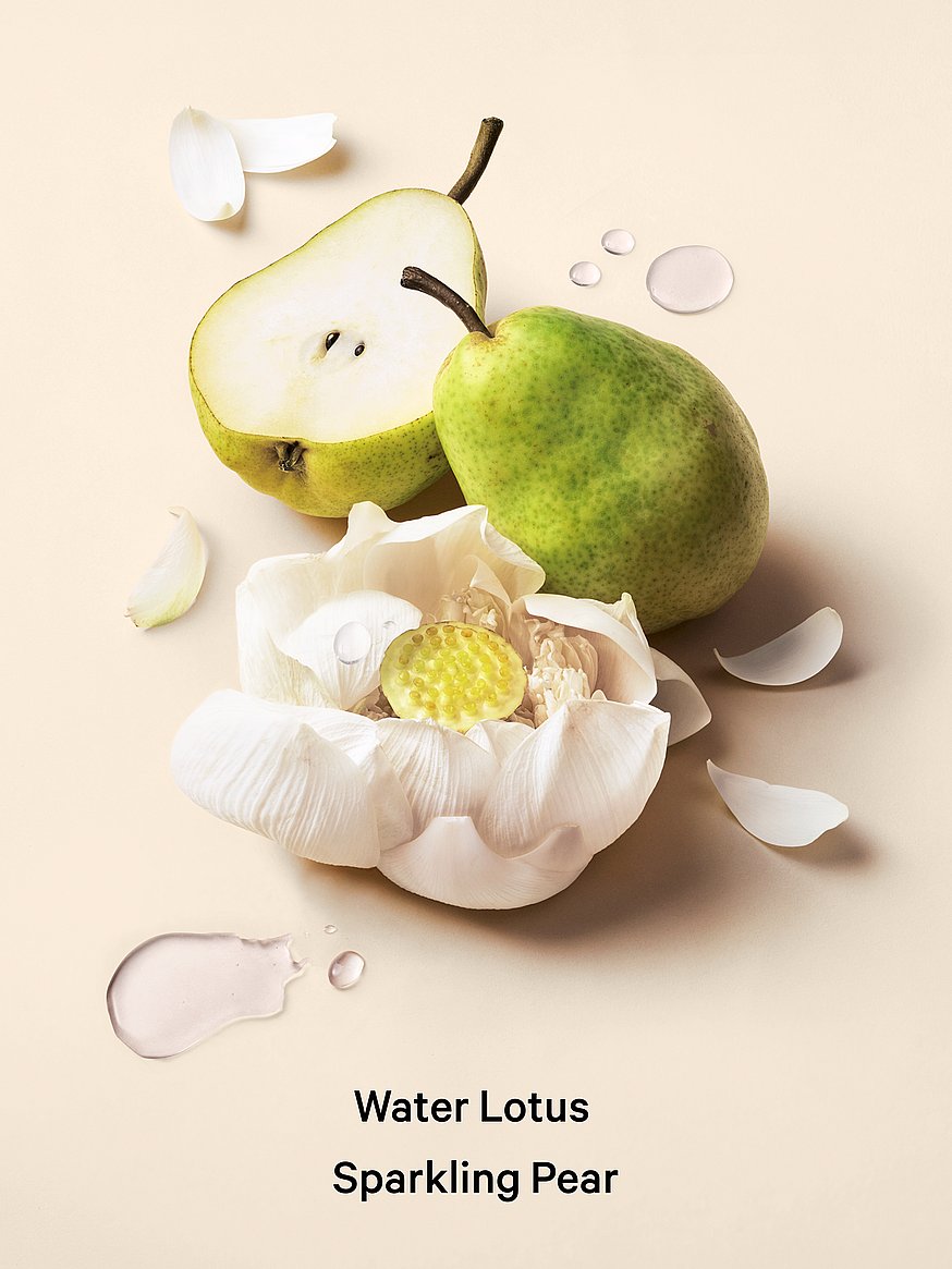 vacation fragrance lotion vacation fragrance lotion