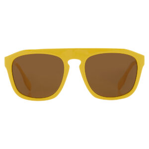 burberry wren brown browline men's sunglasses be4396u 407073 57