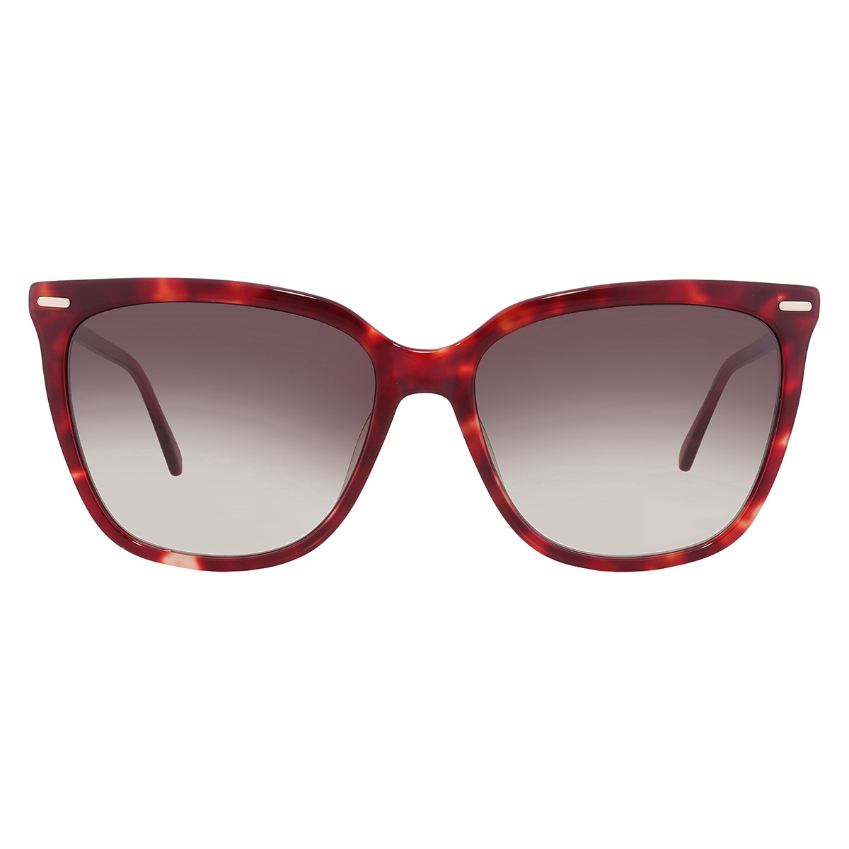 calvin klein grey gradient butterfly ladies sunglasses ck22532s 609 56 calvin klein grey gradient butterfly ladies sunglasses ck22532s 609 56