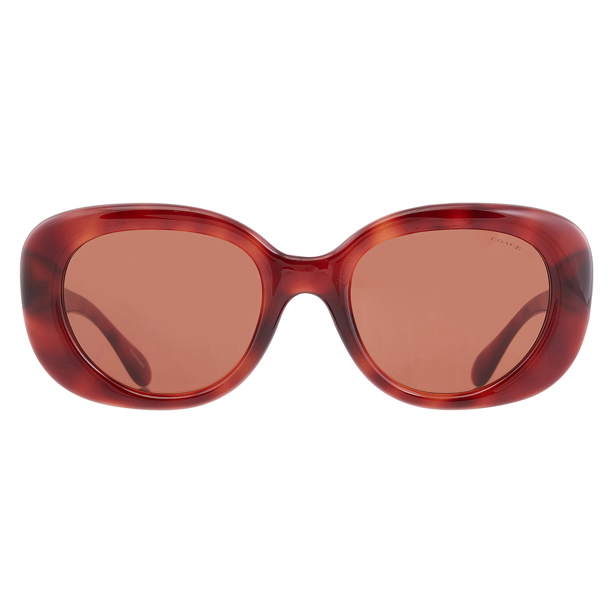 coach brown oval ladies sunglasses hc8391u 577473 53 coach brown oval ladies sunglasses hc8391u 577473 53