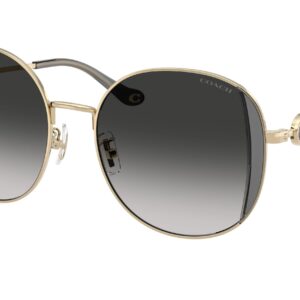 coach grey gradient round ladies sunglasses hc7176b 90053c 54