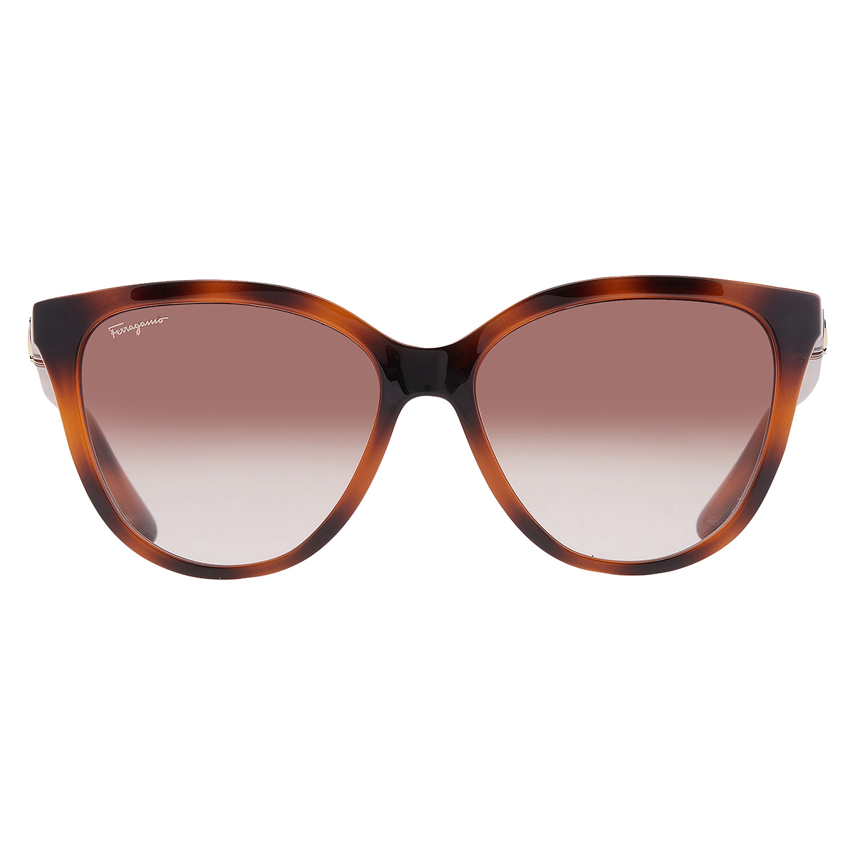 ferragamo brown gradient cat eye ladies sunglasses sf1056s 240 57 ferragamo brown gradient cat eye ladies sunglasses sf1056s 240 57