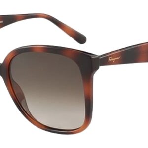 ferragamo brown gradient square ladies sunglasses sf1072s 240 56