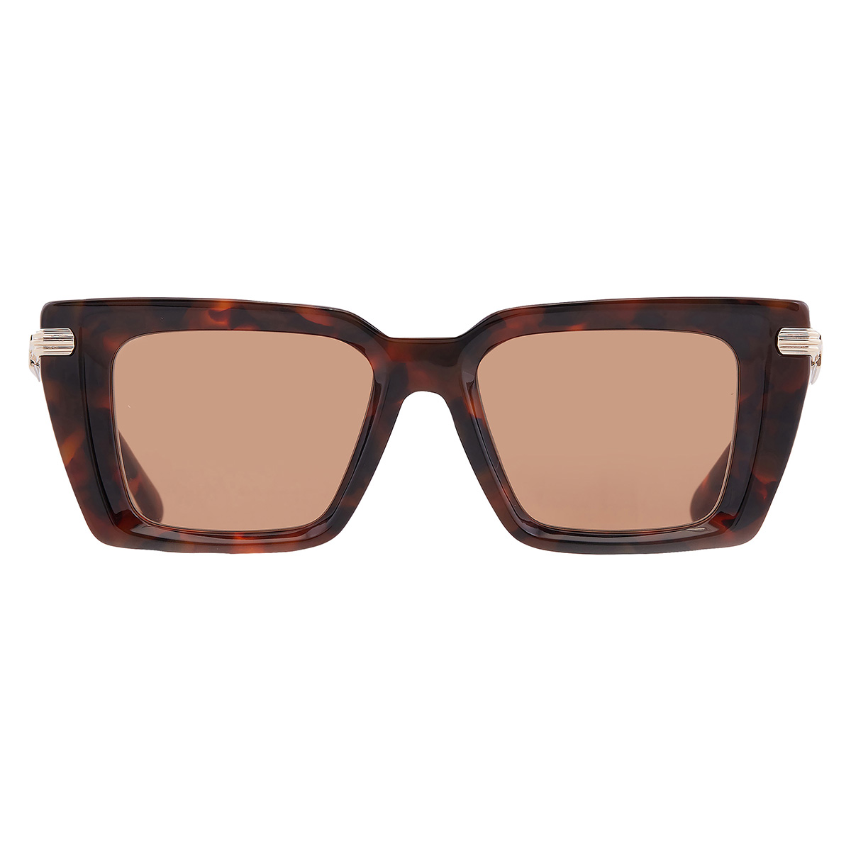 ferragamo brown rectangular ladies sunglasses sf2089s 240 52 ferragamo brown rectangular ladies sunglasses sf2089s 240 52