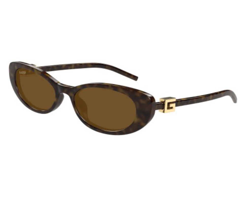 gucci brown cat eye ladies sunglasses gg1680s 004 52 gucci brown cat eye ladies sunglasses gg1680s 004 52
