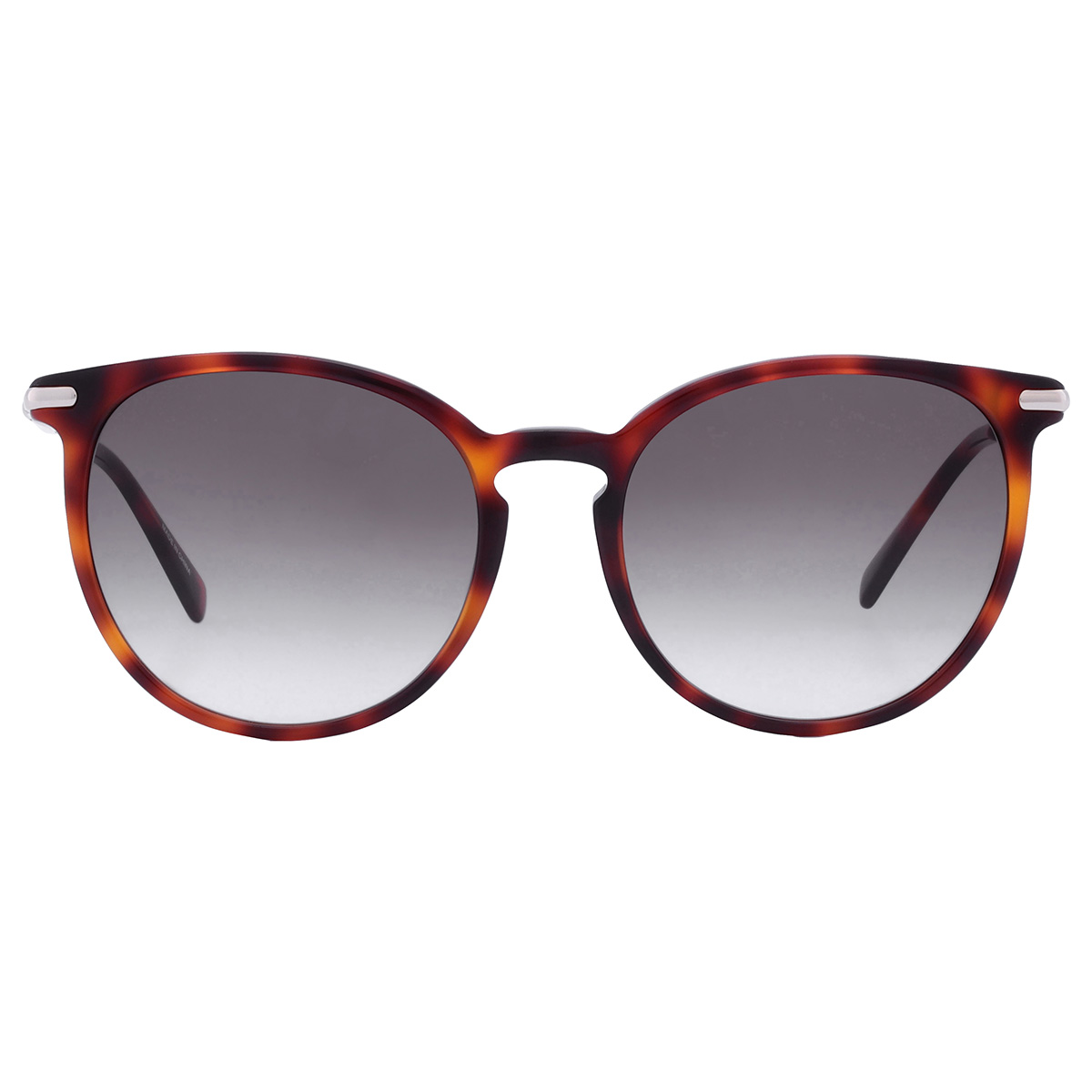 longchamp grey gradient phantos ladies sunglasses lo646s 214 54 longchamp grey gradient phantos ladies sunglasses lo646s 214 54