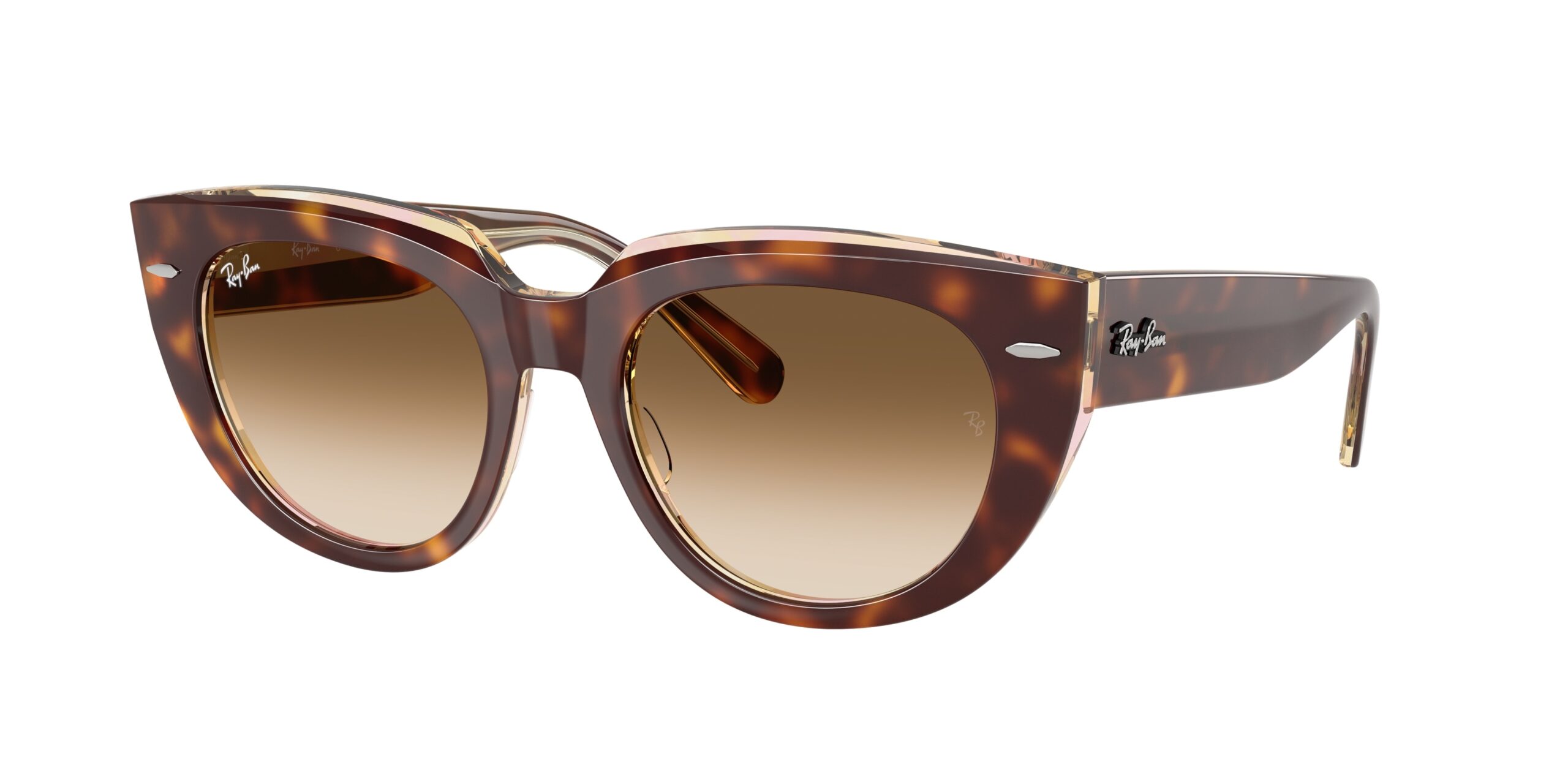 ray ban ray ban doreen brown clear gradient cat eye ladies sunglasses rb2286 141451 52 ray ban ray ban doreen brown clear gradient cat eye ladies sunglasses rb2286 141451 52
