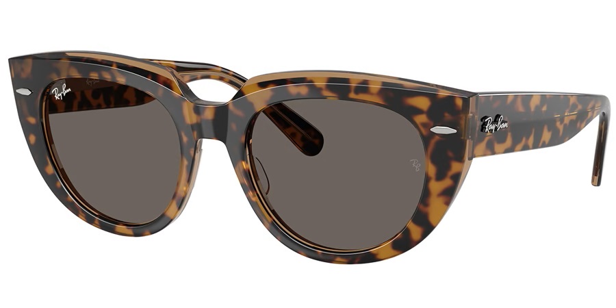 ray ban ray ban doreen grey cat eye ladies sunglasses rb2286 1292b1 52 ray ban ray ban doreen grey cat eye ladies sunglasses rb2286 1292b1 52