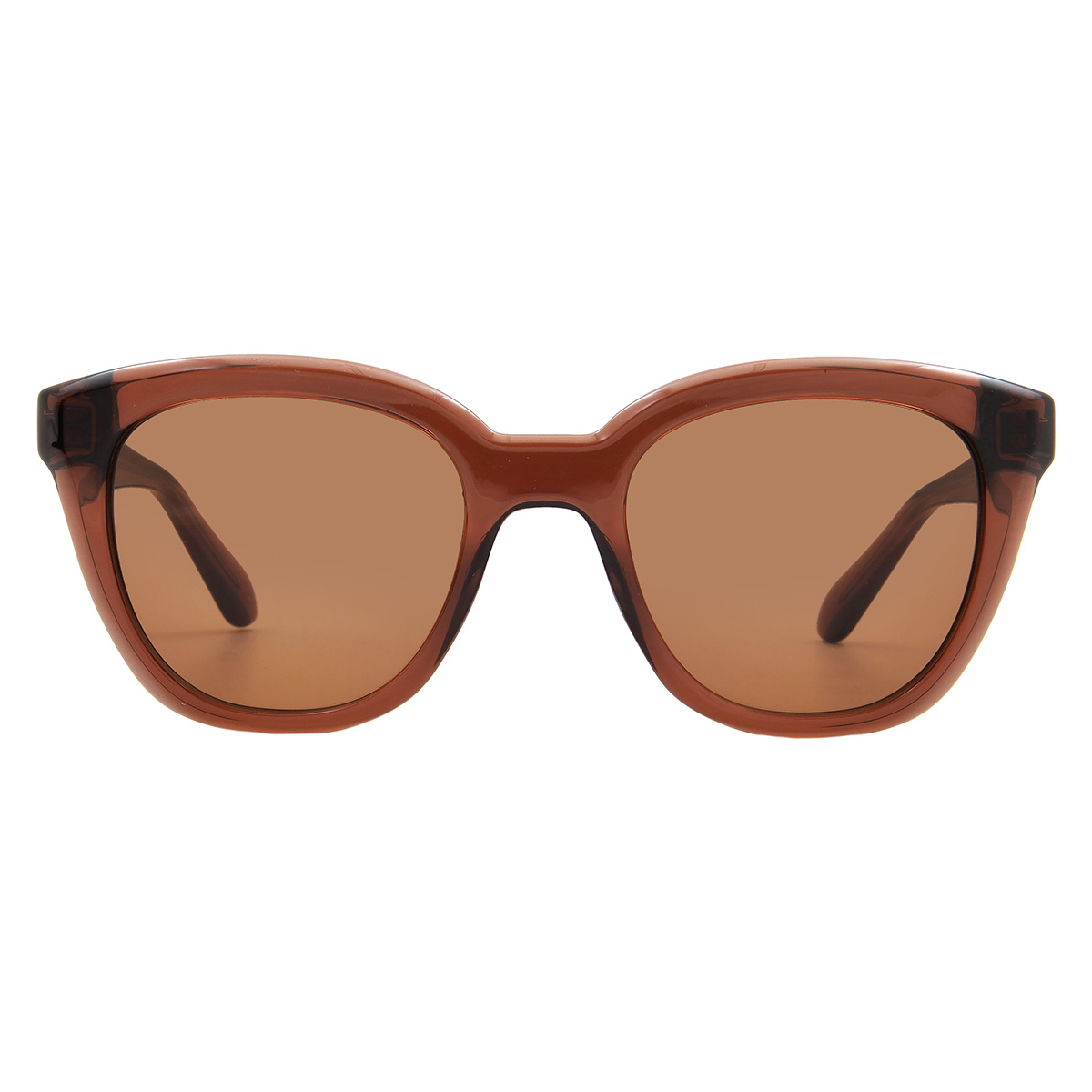 ferragamo salvatore ferragamo brown cat eye ladies sunglasses sf2000s 232 52 ferragamo salvatore ferragamo brown cat eye ladies sunglasses sf2000s 232 52