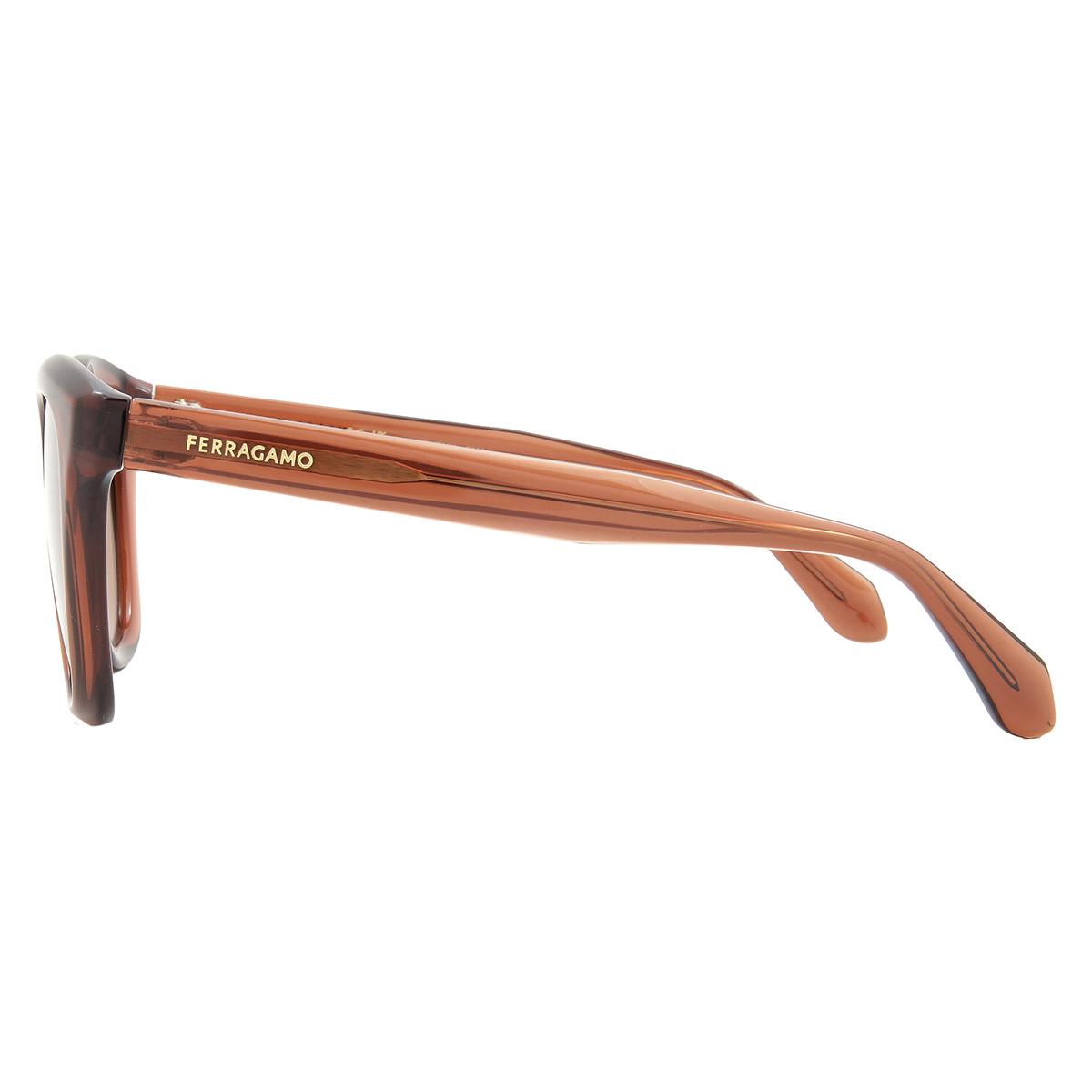 ferragamo salvatore ferragamo brown cat eye ladies sunglasses sf2000s 232 52 ferragamo salvatore ferragamo brown cat eye ladies sunglasses sf2000s 232 52