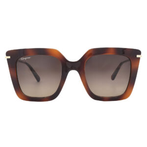 ferragamo salvatore ferragamo brown gradient butterfly ladies sunglasses sf1041s 238 51