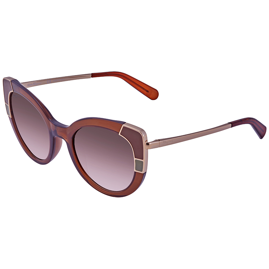 ferragamo salvatore ferragamo brown gradient cat eye ladies sunglasses sf890s 210 52 ferragamo salvatore ferragamo brown gradient cat eye ladies sunglasses sf890s 210 52