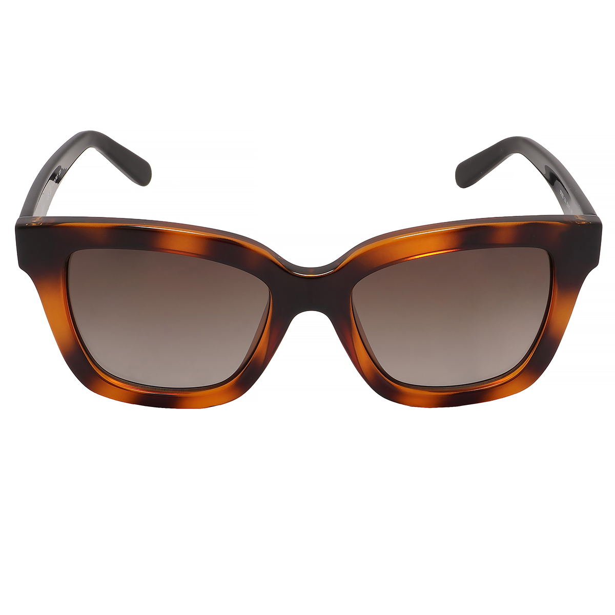 ferragamo salvatore ferragamo brown gradient rectangular ladies sunglasses sf955s 214 53 ferragamo salvatore ferragamo brown gradient rectangular ladies sunglasses sf955s 214 53
