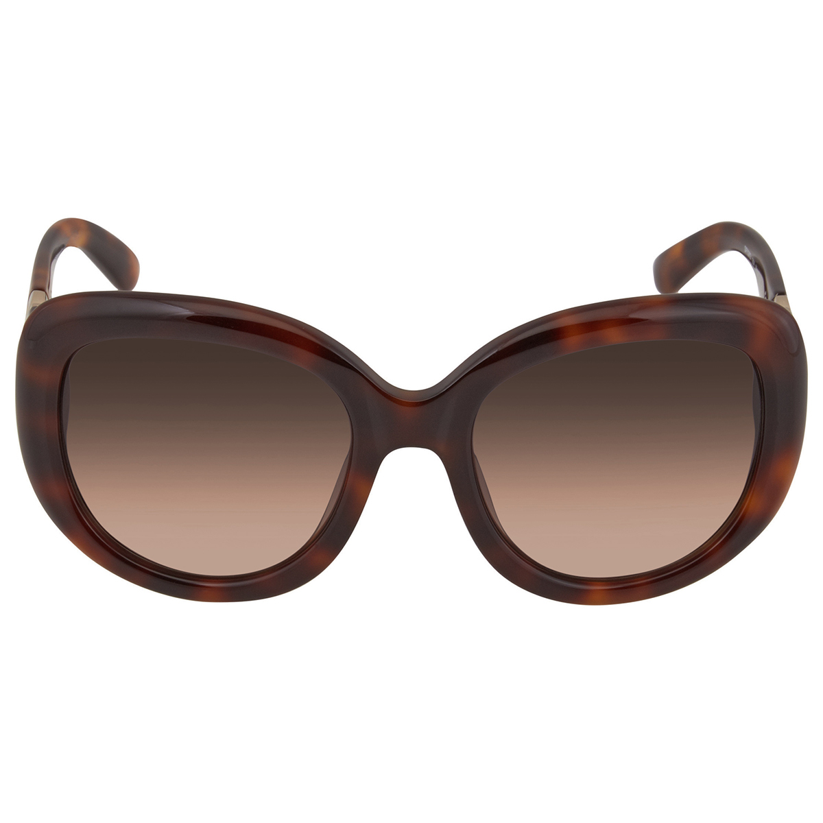 ferragamo salvatore ferragamo brown oval ladies sunglasses sf727s 214 53 ferragamo salvatore ferragamo brown oval ladies sunglasses sf727s 214 53