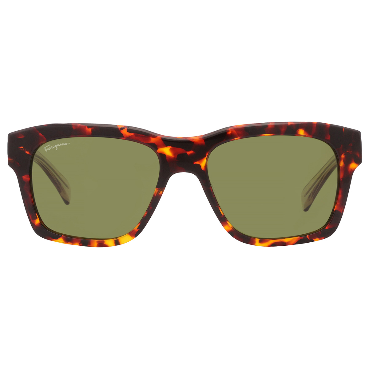 ferragamo salvatore ferragamo green square men's sunglasses sf1087s 219 56 ferragamo salvatore ferragamo green square men's sunglasses sf1087s 219 56
