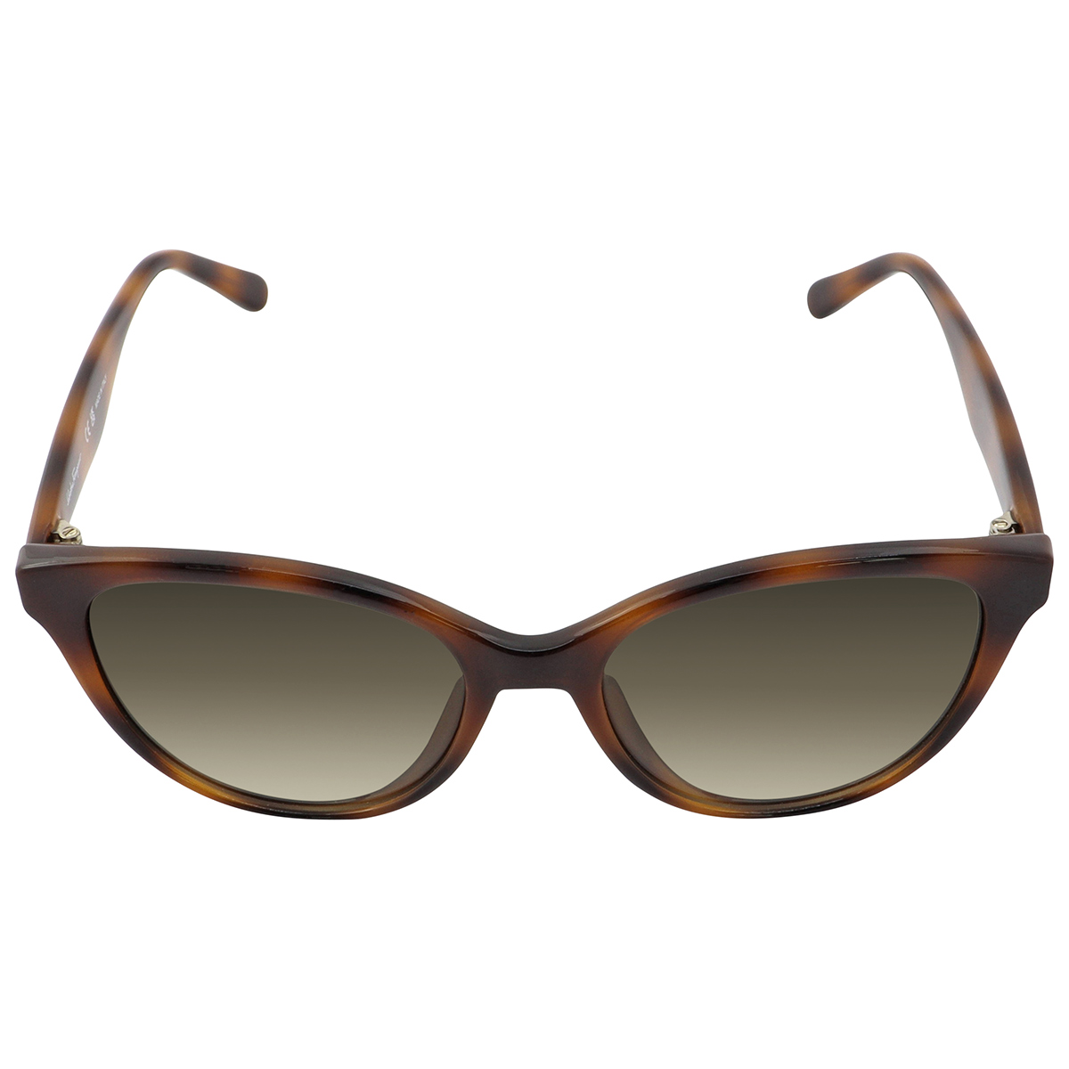 ferragamo salvatore ferragamo grey gradient butterfly ladies sunglasses sf1073s 240 54 ferragamo salvatore ferragamo grey gradient butterfly ladies sunglasses sf1073s 240 54