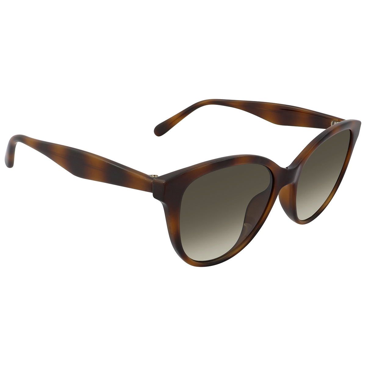 ferragamo salvatore ferragamo grey gradient butterfly ladies sunglasses sf1073s 240 54 ferragamo salvatore ferragamo grey gradient butterfly ladies sunglasses sf1073s 240 54
