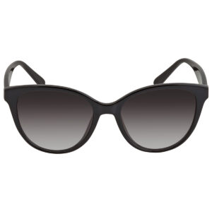 ferragamo salvatore ferragamo grey gradient cat eye ladies sunglasses sf1073s 001 54