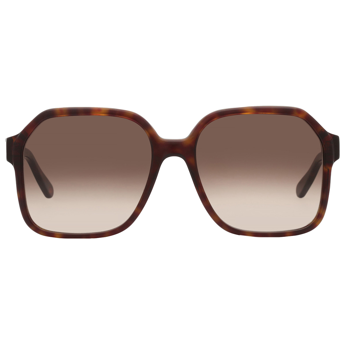 ferragamo salvatore ferragamo grey gradient square ladies sunglasses sf1069s 242 56 ferragamo salvatore ferragamo grey gradient square ladies sunglasses sf1069s 242 56