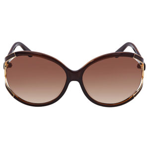 ferragamo salvatore ferragamo brown gradient round ladies sunglasses sf600s 220 61