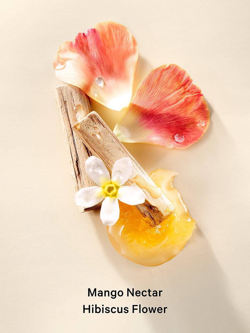 the archives collection fragrance mist the archives collection fragrance mist